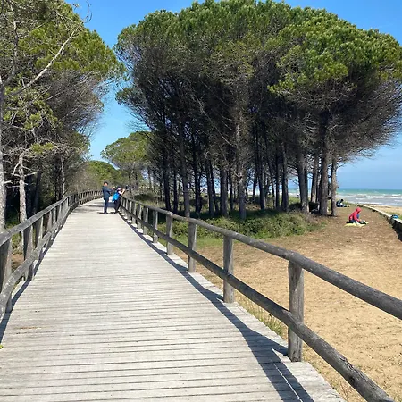 Flat In With Swimming Pool And Balcony Apartamento